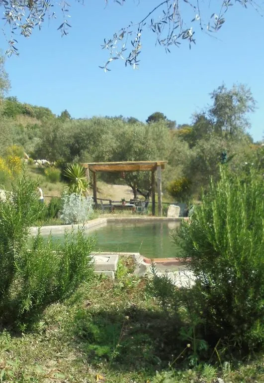La Casina Di Giannetto Guest House Seggiano Country house