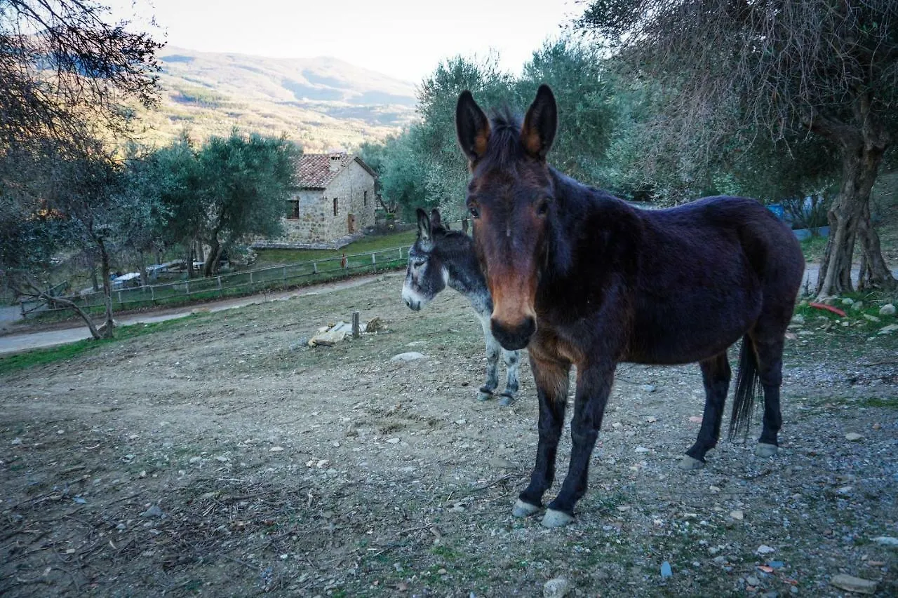 La Casina Di Giannetto Guest House Seggiano Country house